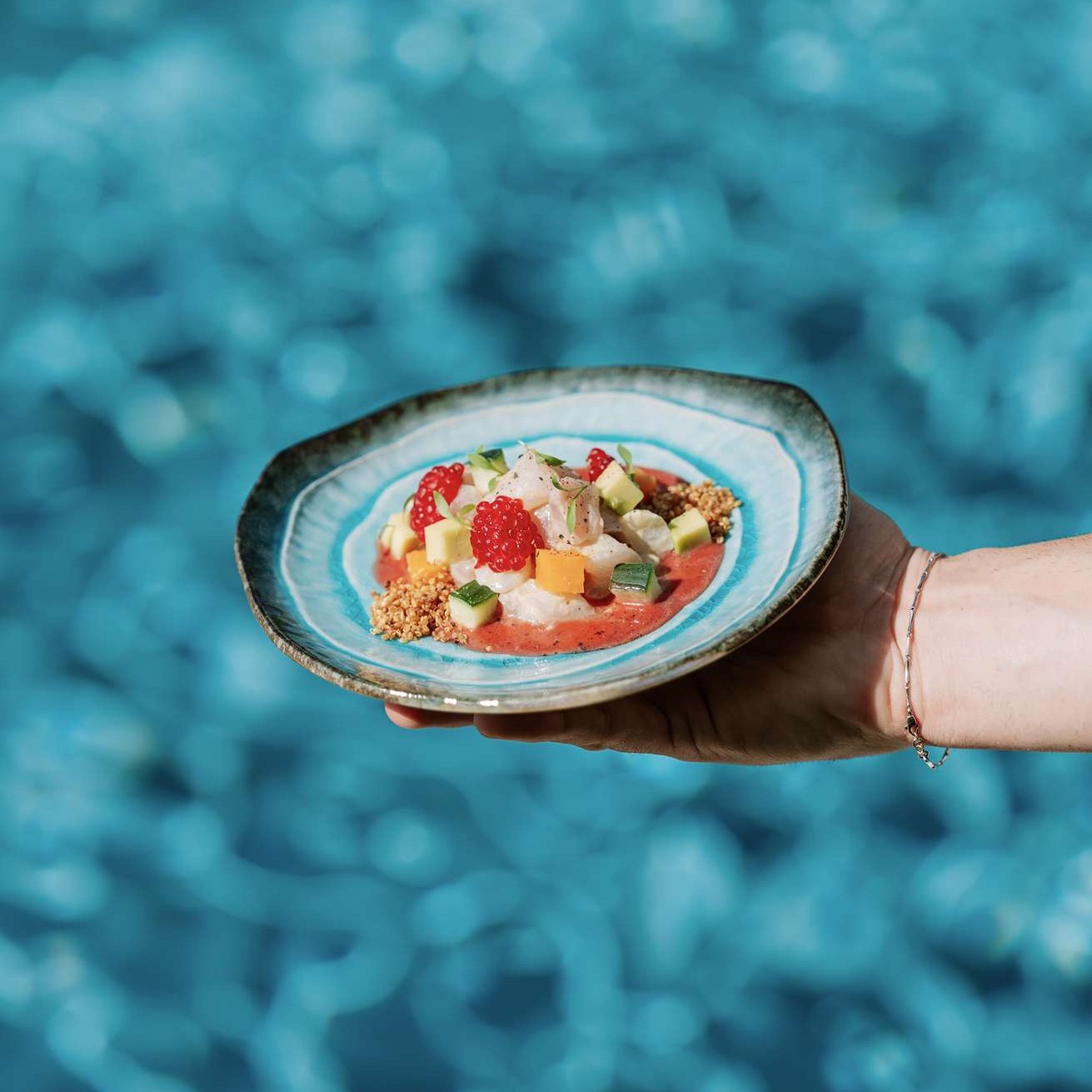 fish ceviche beefbar gordes